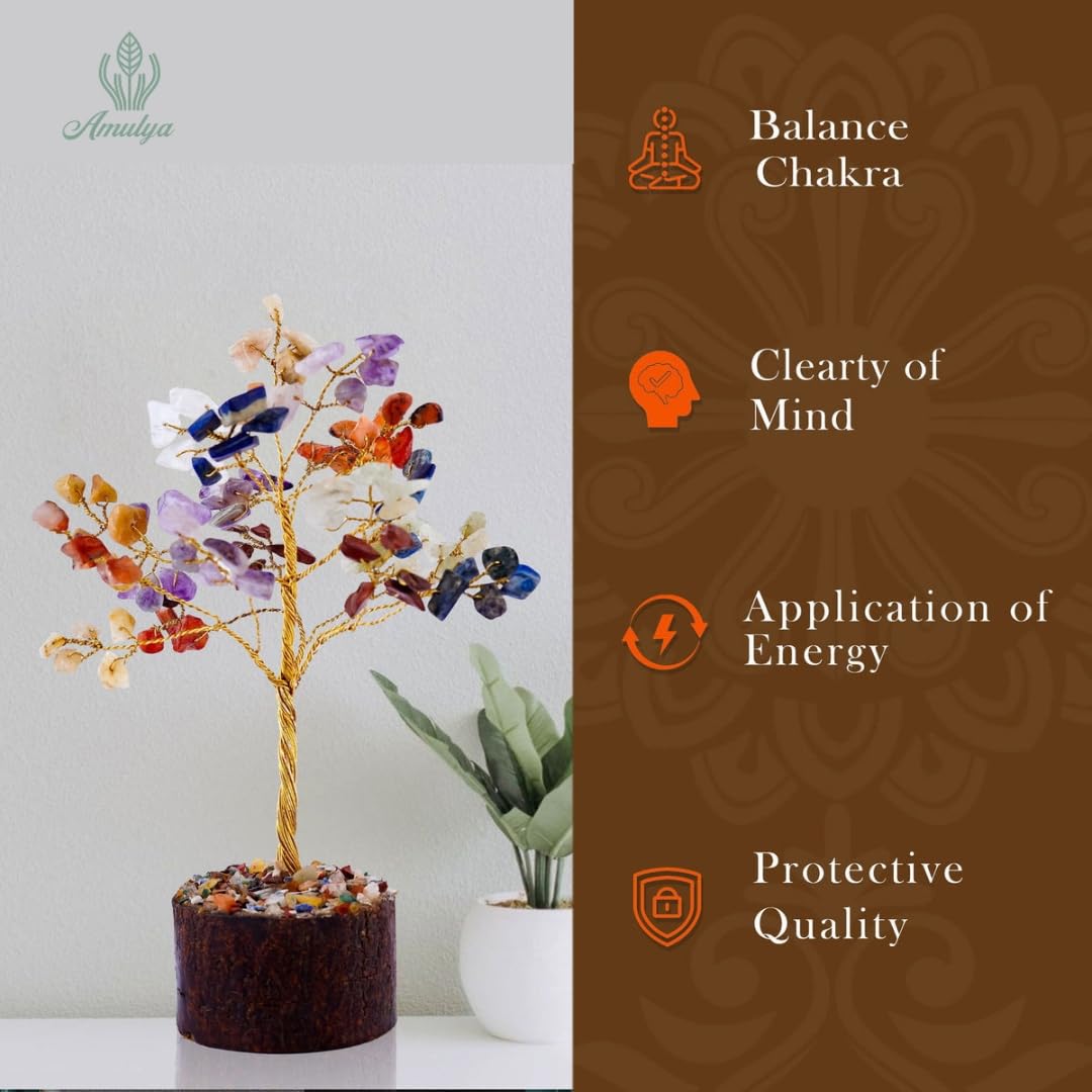 Amulya Farms Live Lucky Bamboo 5 layer plant in Copper Pot | Bamboo Plants for home decoration | Indoor Plants for Home | Ideal for Living room, Balcony, Office desk & Kitchen | Lucky Vastu Plant |