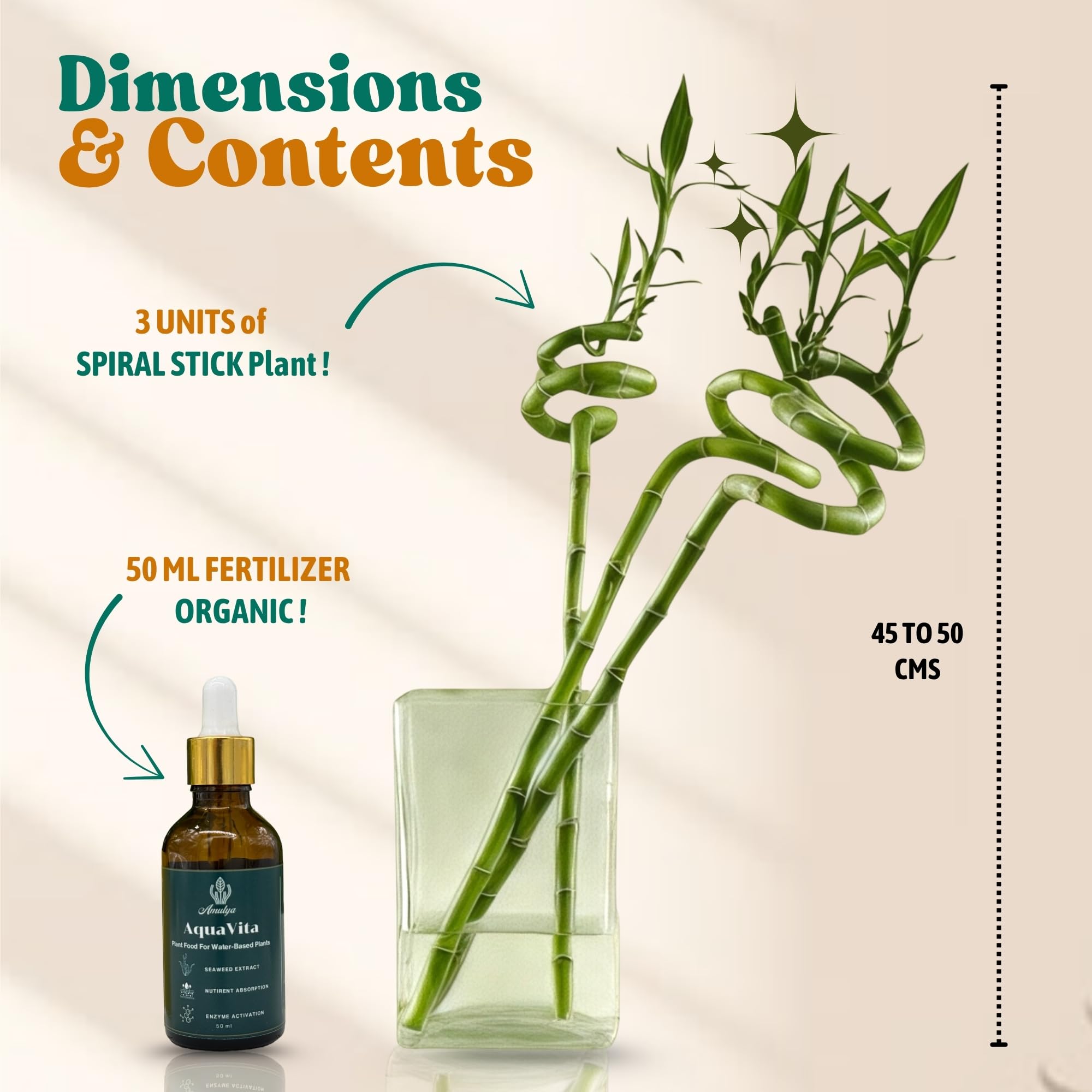 Amulya Farms Live Lucky Bamboo 5 layer plant in Copper Pot | Bamboo Plants for home decoration | Indoor Plants for Home | Ideal for Living room, Balcony, Office desk & Kitchen | Lucky Vastu Plant |